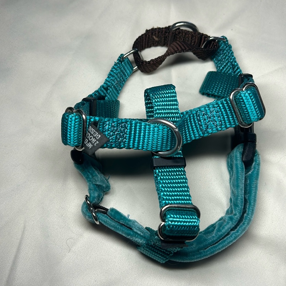 XS harness by 2 Hounds Design